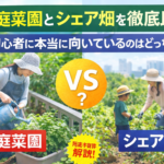 家庭菜園とシェア畑を徹底比較｜初心者に本当に向いているのはどっち？