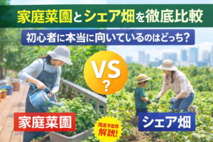 家庭菜園とシェア畑を徹底比較｜初心者に本当に向いているのはどっち？