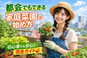 都会でもできる家庭菜園の始め方｜初心者が失敗しない完全ガイド