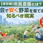 【保存版】市民農園とは？都会で安く野菜を育てたい人が知っておくべき現実