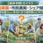 【最終判断ガイド】家庭菜園・市民農園・シェア畑｜都会暮らしに本当に合う選択肢はどれ？
