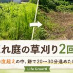 荒れ庭の草刈り2回目｜30度超えの中、鎌で20〜30分進めた結果