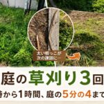 荒れ庭の草刈り3回目｜朝6時から1時間、庭の5分の4まで進んだ