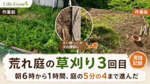 荒れ庭の草刈り3回目｜朝6時から1時間、庭の5分の4まで進んだ