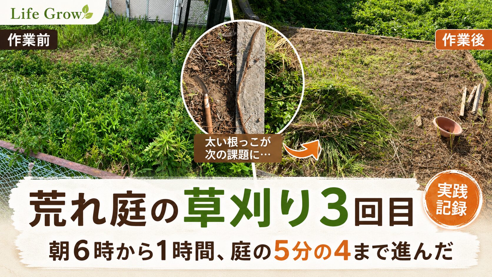 荒れ庭の草刈り3回目｜朝6時から1時間、庭の5分の4まで進んだ