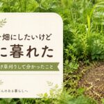 荒れた庭を畑にしたいけど途方に暮れた｜1日目に20分だけ草刈りして分かったこと